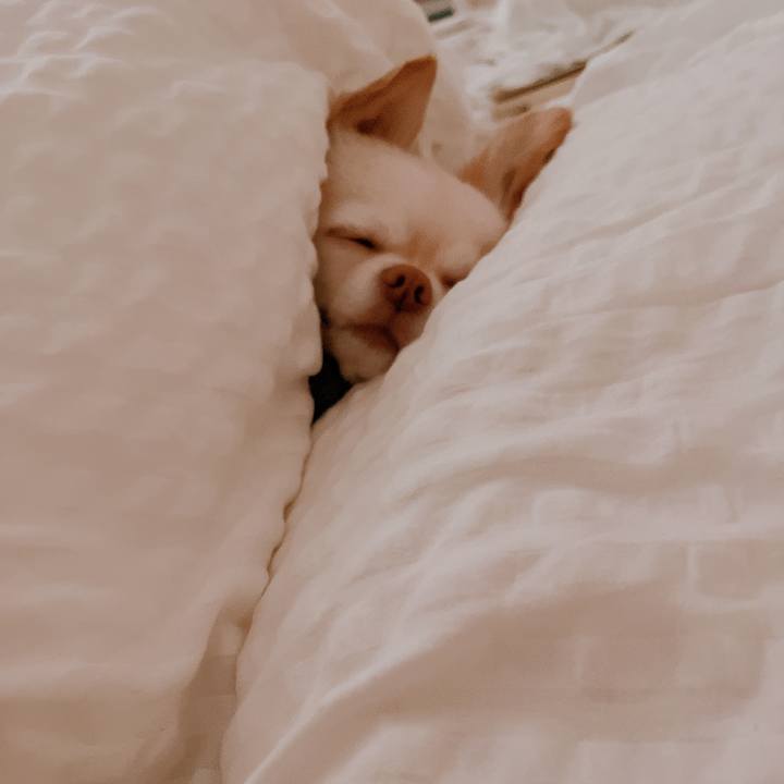 2a32f950 e0b2 433c 82d4 ae5c25dbcdf3 1674539250576