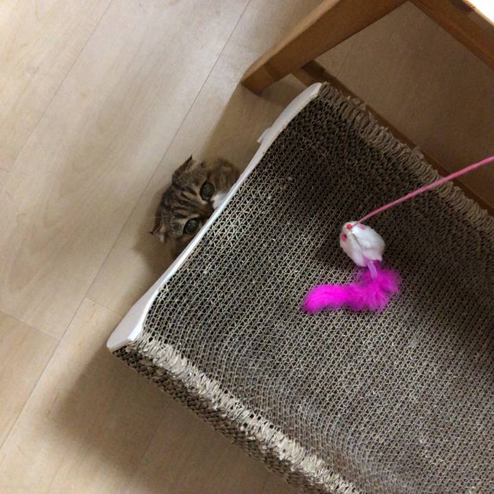 2a33025f 773c 477d 9983 38aef3a97a92 1540303388342