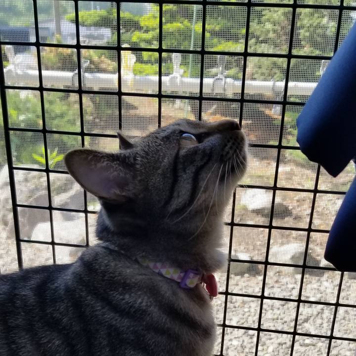 2a330542 e31e 488e afef 96528bed58bd 1686575701359