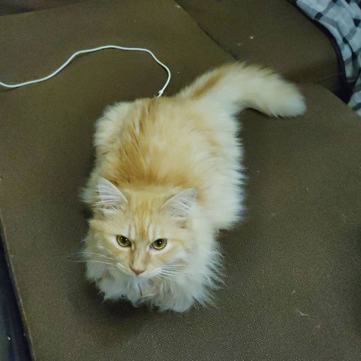 2a332123 7af3 49a9 b9a0 38e3a0de2a04 1719916447955