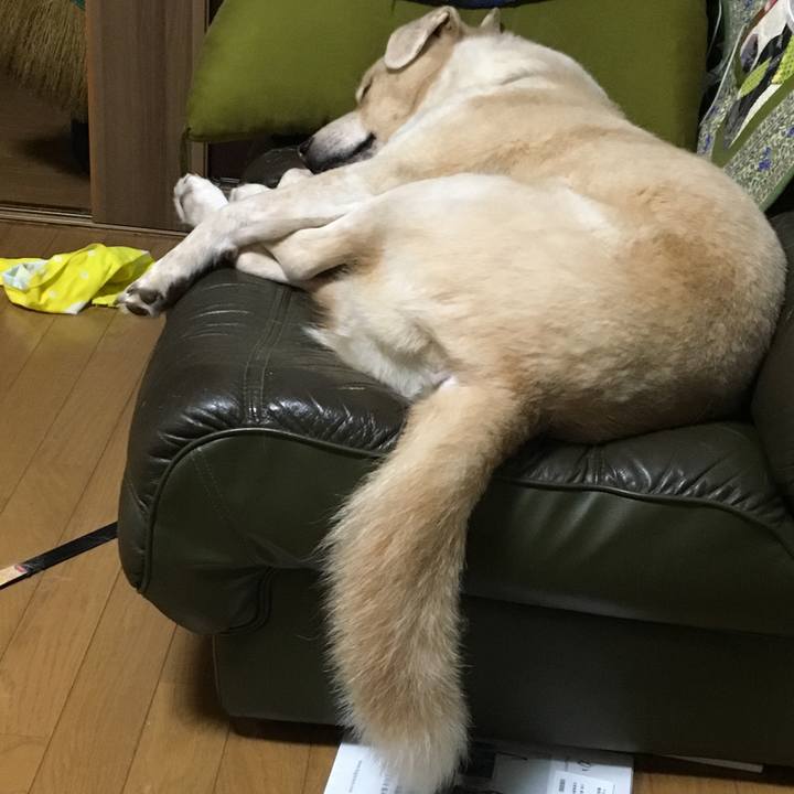 2a335058 0837 4462 ae32 344be0818c4c 1538491330979