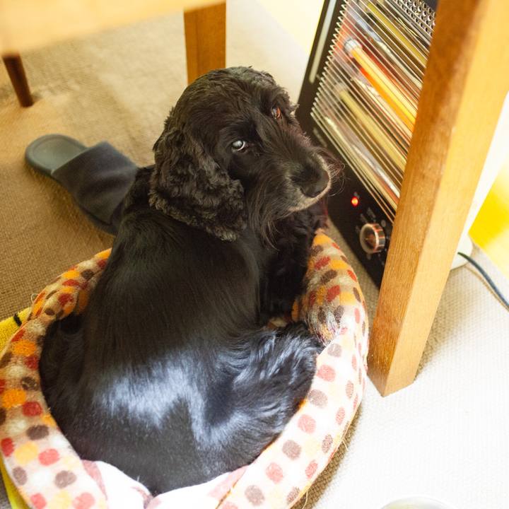 2a33996f 1aea 452b 82ee 5006119cb511 1575305234262