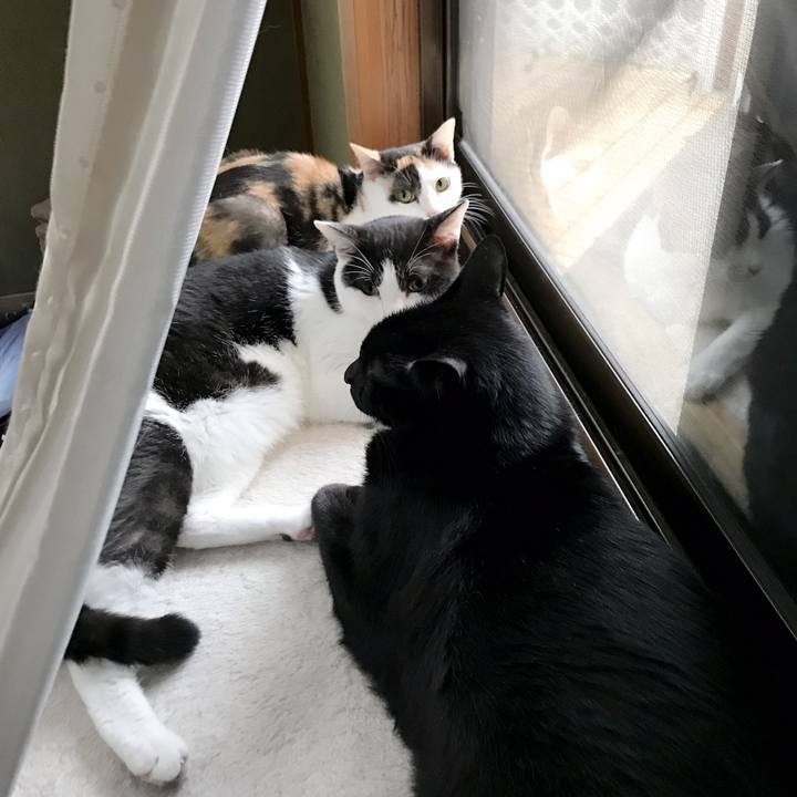 2a33f063 a18f 44a1 99ce c2a5deeaa5d9 1537455442359