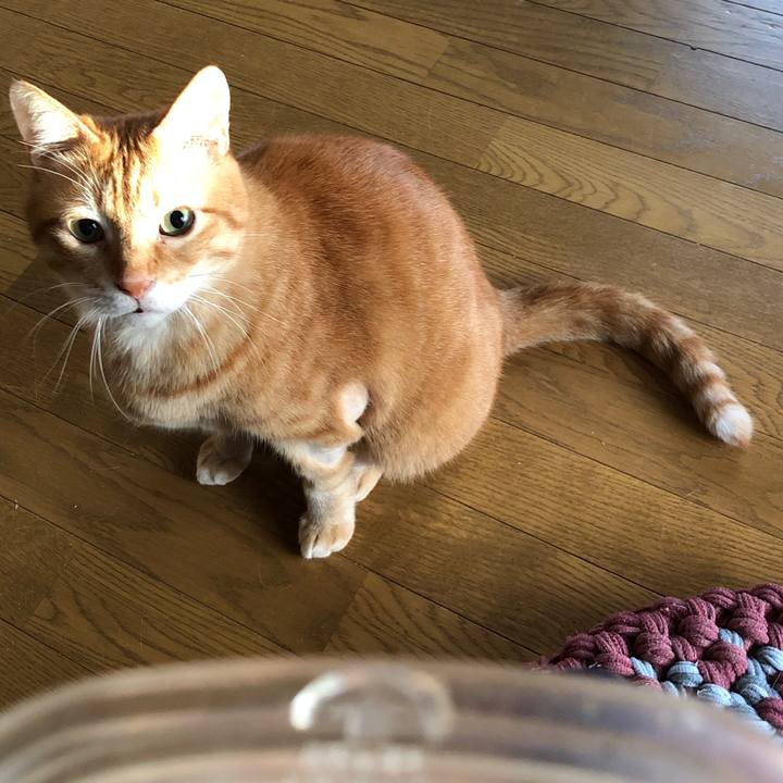 2a33f09f 3868 4502 b0e3 366f0b923707 1661720209795