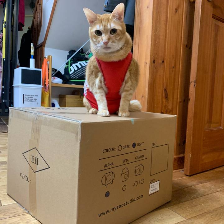 2a340a5e 94f5 48e9 8848 70e15c83f11d 1580985643964