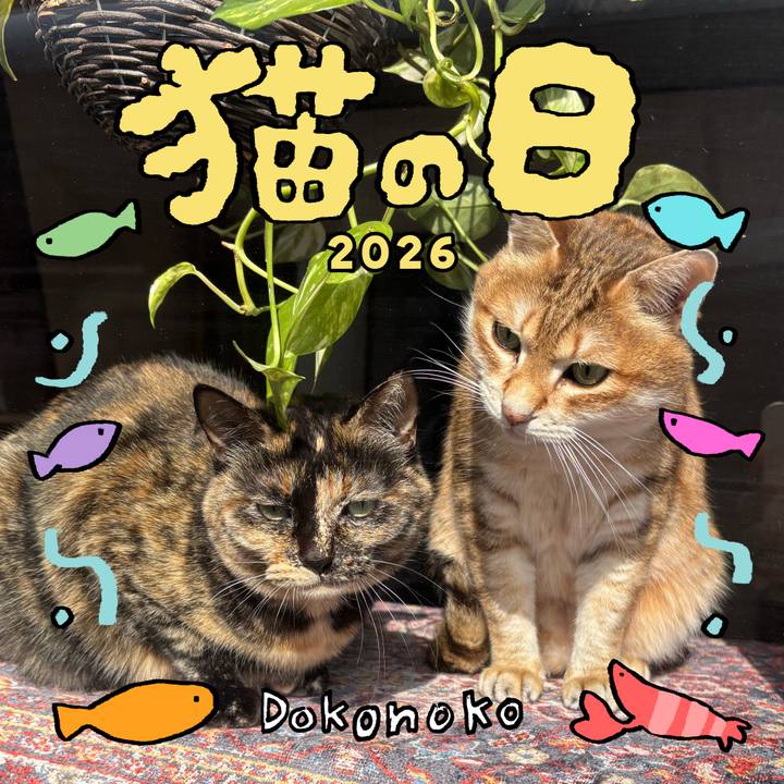 2a341fb3 ff02 461a 93da 4e5db7ef6bff 1771752851295