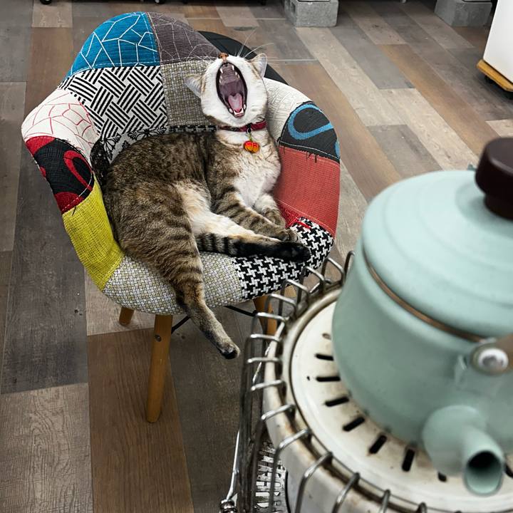 2a3422f7 06f3 43f7 8433 e08e58266c95 1765806408385