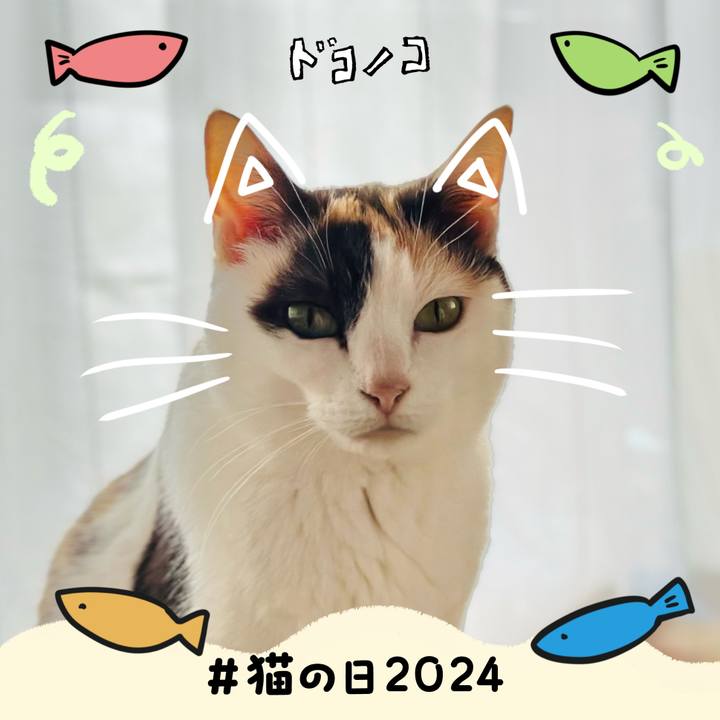 2a34614c 9808 4bf4 bfc2 1bcf3a5e9d4b 1708567793600