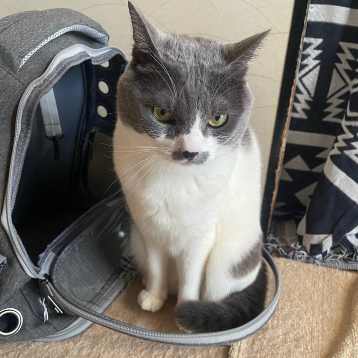 2a346f09 c8d4 470b 8298 403dc123587b 1705216744169