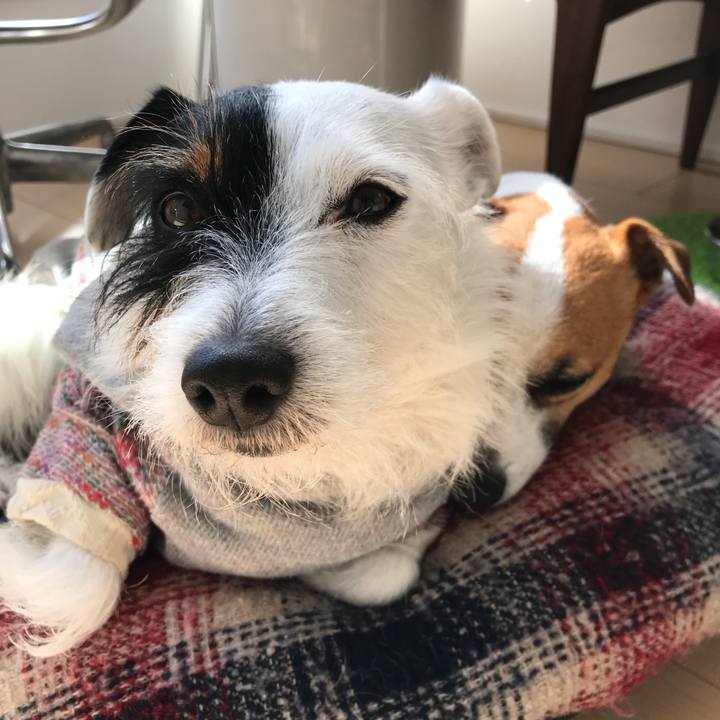 2a348778 5b10 48ac a411 5c7ae15ac429 1515637535587