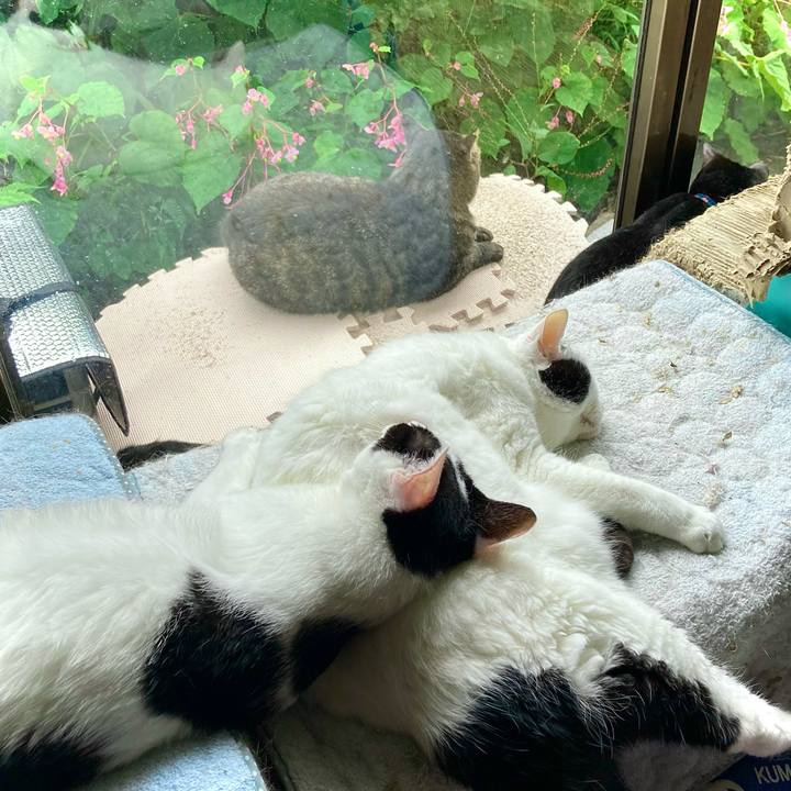 2a34be91 6c40 45a4 8989 c26f327551fd 1662372022078