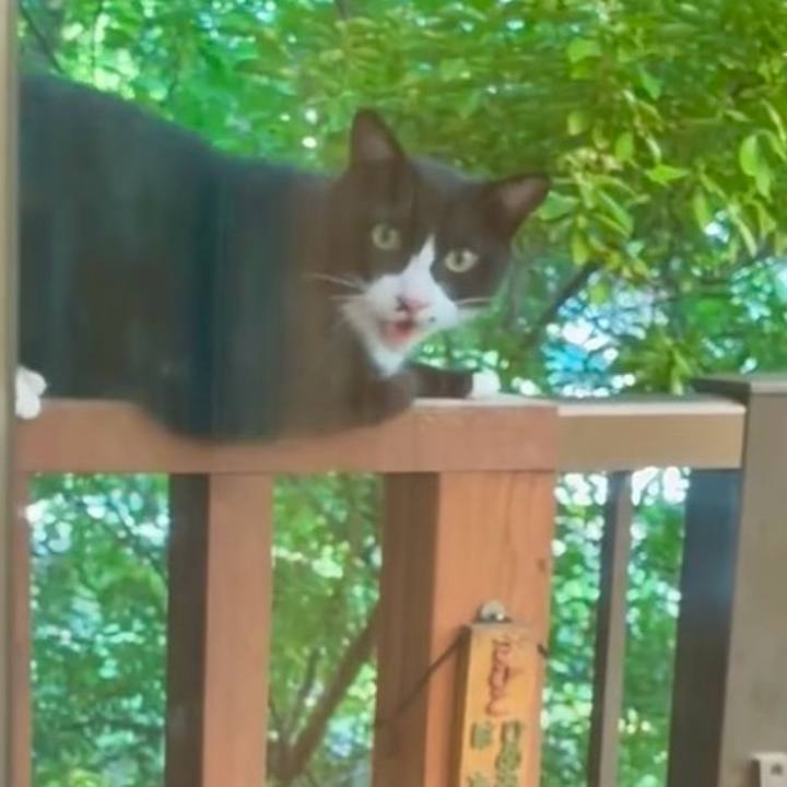 2a34c8d9 bc80 4900 8a96 171612419e42 1751968383769