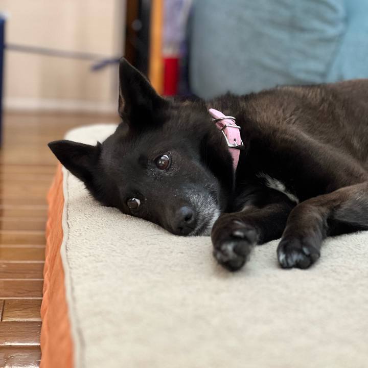 2a34ce6e 476a 4c56 b28c 68c75e33dea5 1746058481838