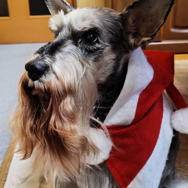 2a35c3e2 ff95 4fe9 88f0 9a2660f6b6ed 1766645230212