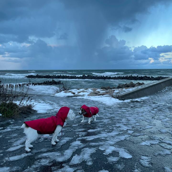 2a35fe58 e71a 4594 94da 0d9940c8f81e 1767397745796