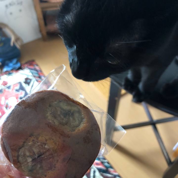 2a364231 b132 424c bd9e 224ed98a60cc 1558998027559