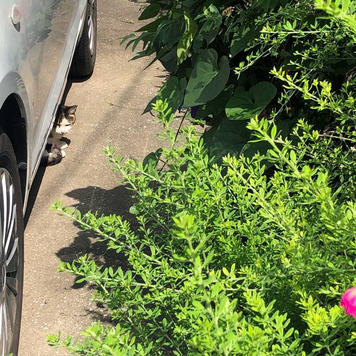 2a367557 d61e 4cc3 a8ba fce2bb1e08cb 1563436551229