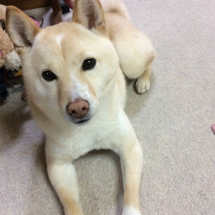 2a368576 25fa 4cb8 b9e6 e7c768d38a56 1551266099114