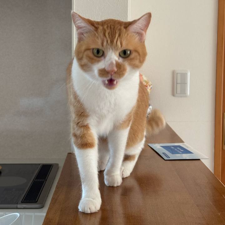 2a3693fa 098a 4bf4 b0c8 aba155d2c069 1757386876266