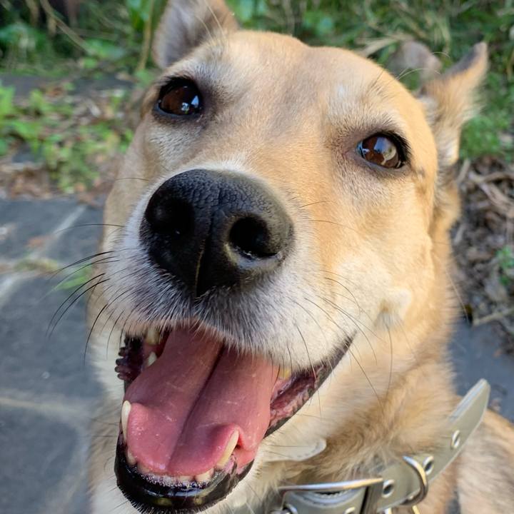 2a36fc97 0354 4633 a6b7 27e5454ade6b 1584597440579