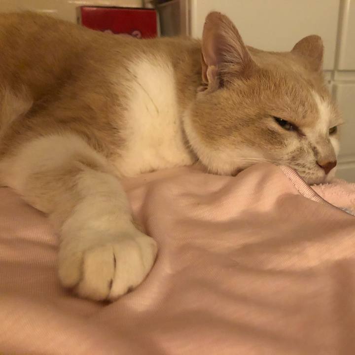 2a370192 385c 4a40 926b 7da4edf0f467 1567168153664