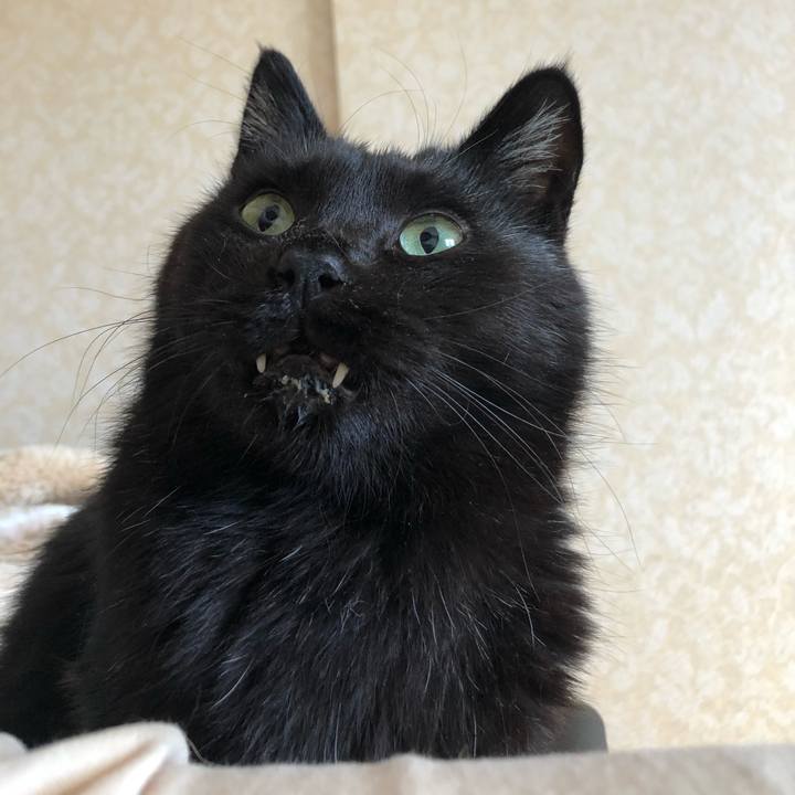 2a3730a1 b6ab 4a14 bfda f6ecc647e041 1632011964430