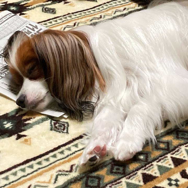 2a3750af 2b05 4758 8407 040e1324b79a 1634301183728