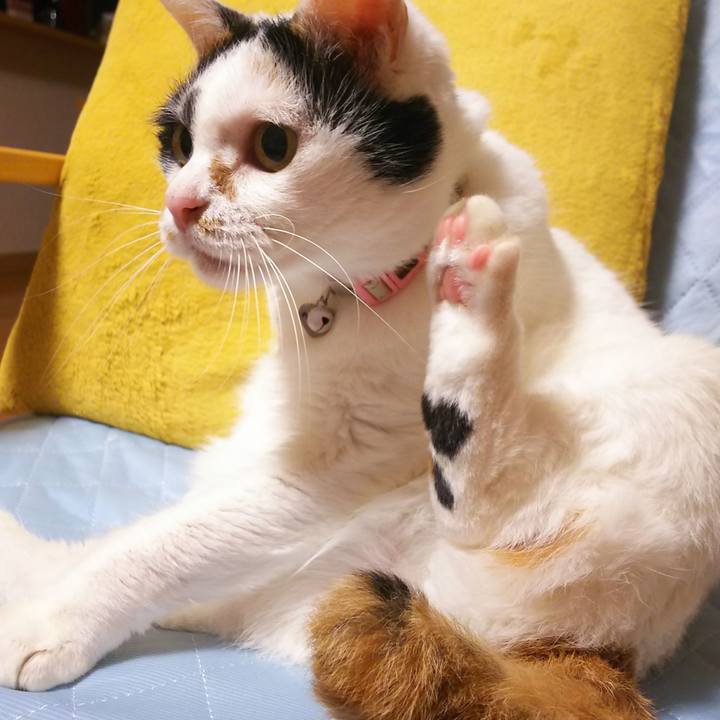 2a376dc1 b601 4cf3 9df0 80468f96f7b9 1568382422880