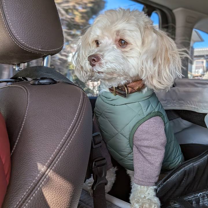 2a379afb 2d5c 4e42 95dc 9f4a81e9dfd4 1768303402270