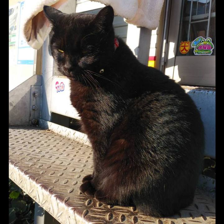 2a379f78 41d7 4b8b 98bc 6d669f41e495 1607303363537