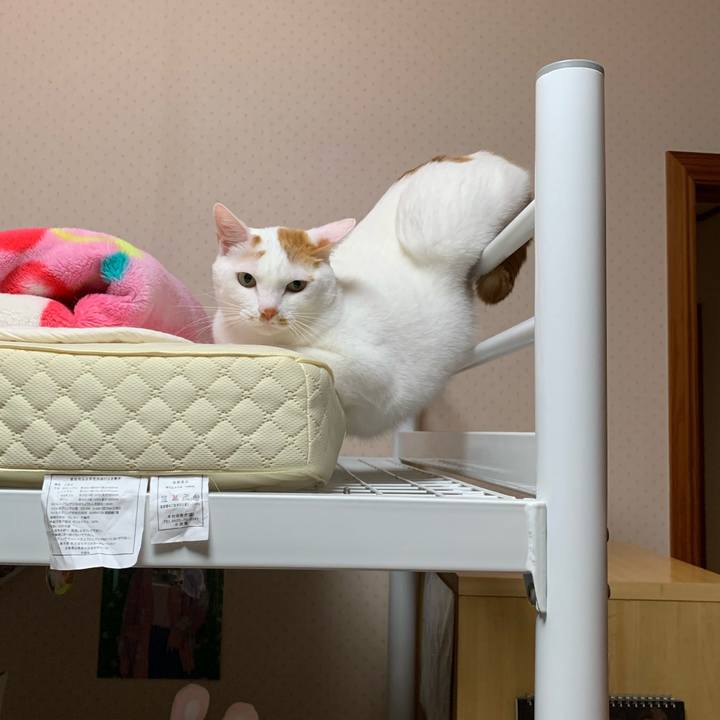 2a37b3ea 1050 425e a687 71f28728f800 1601216606957