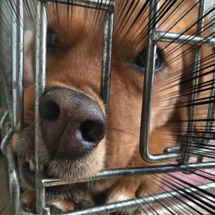 2a37bdd5 e4d3 4035 bc69 143744f29e77 1522622918569