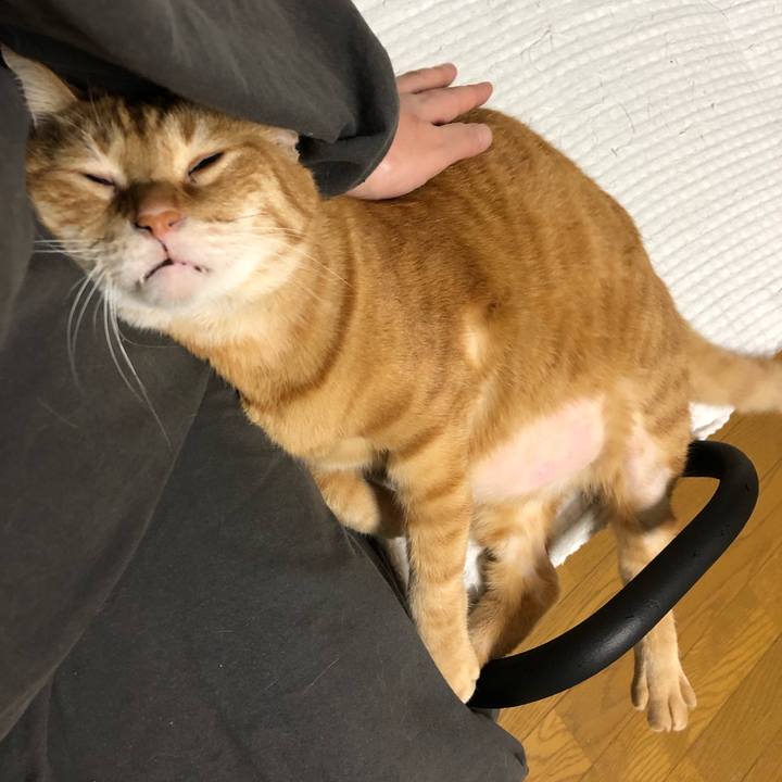 2a37be9f 95ea 4a68 af45 616a6b7eaeec 1649883455093