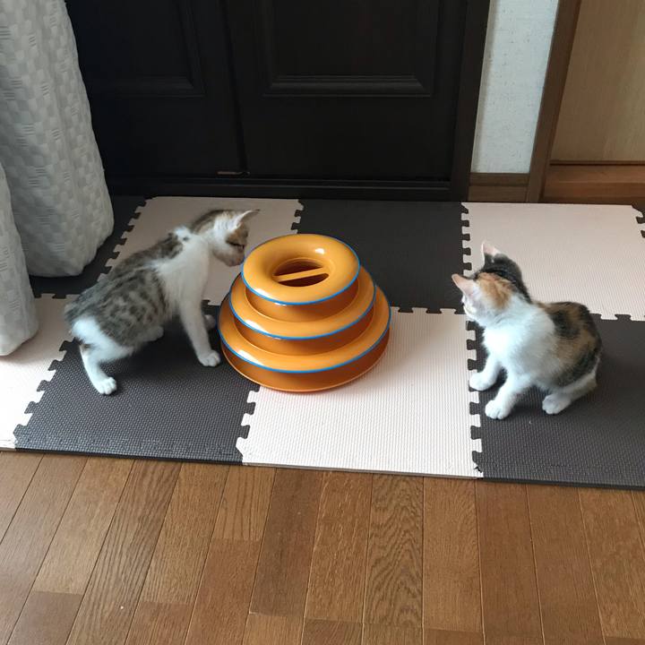 2a37e306 4393 4920 a182 8c03d9fac38e 1572168828307