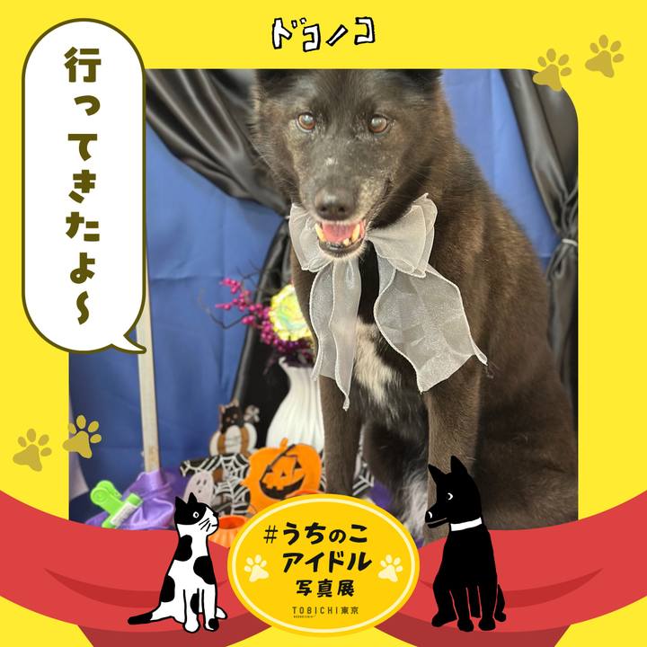 2a37e631 e8df 4fac b02d e0ef668f55d3 1761899301899