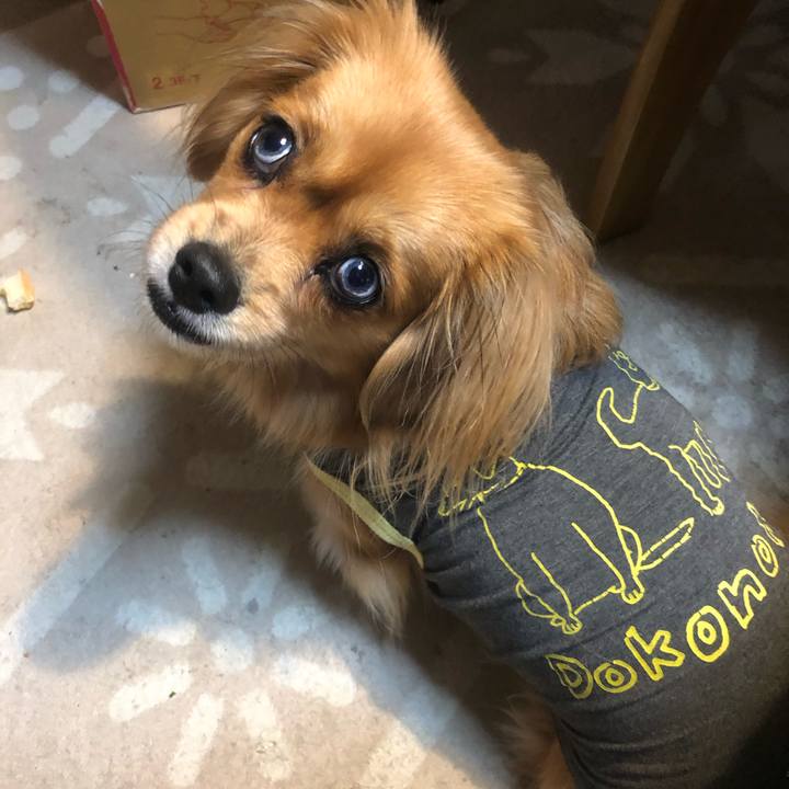 2a37ebed 6443 4d06 baed 26c2971eae96 1548110185310