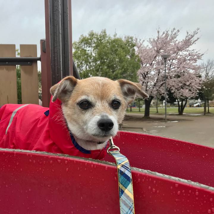 2a37f106 f9cd 47c2 b1d0 9a1f707a123b 1648773204204