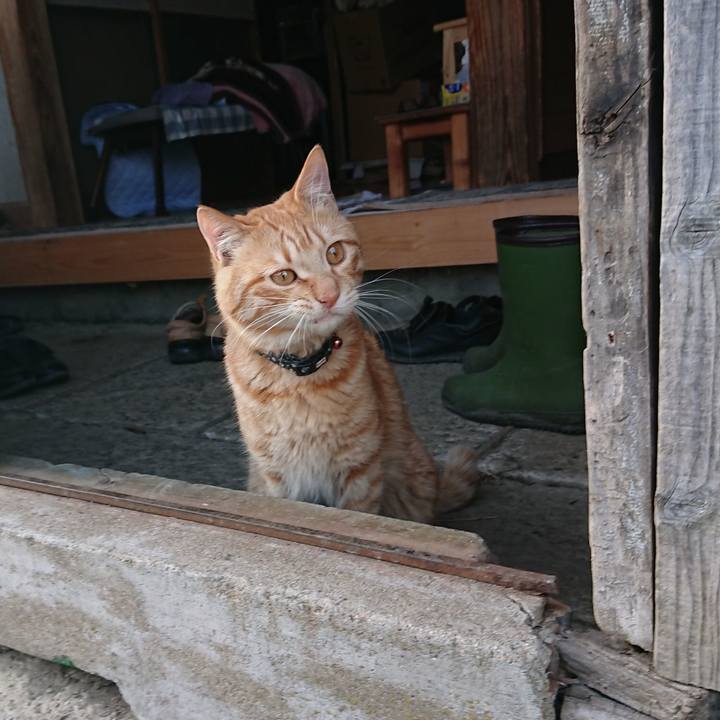 2a3802a2 f582 423a 9d08 44f7663cddff 1649577935468