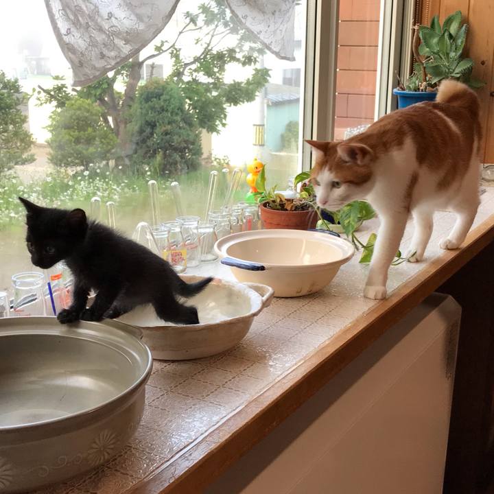 2a38476f f5bf 4b6f 8018 f8d1220d08d2 1561406182974