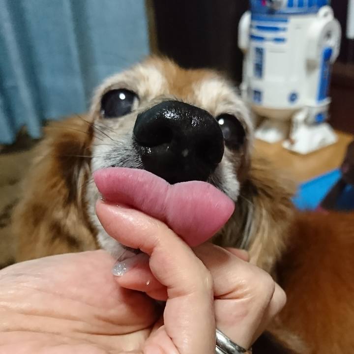 2a388a69 4ff1 46c8 928f 82ede12fb9a3 1510396114177