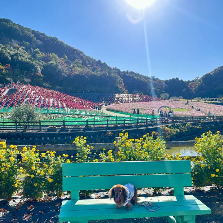 2a38c19c a797 41b3 9c73 80341aeef525 1763186660315