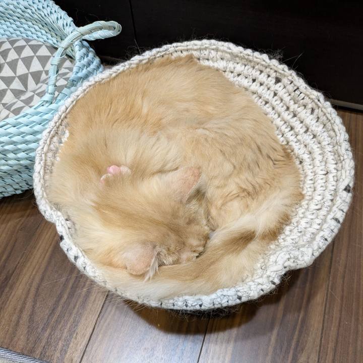 2a38e510 05c7 44a1 93ce b9b0822e8ff0 1756209990463