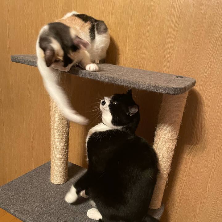 2a38f8d6 d147 4b96 acd3 62591f520964 1726222160048