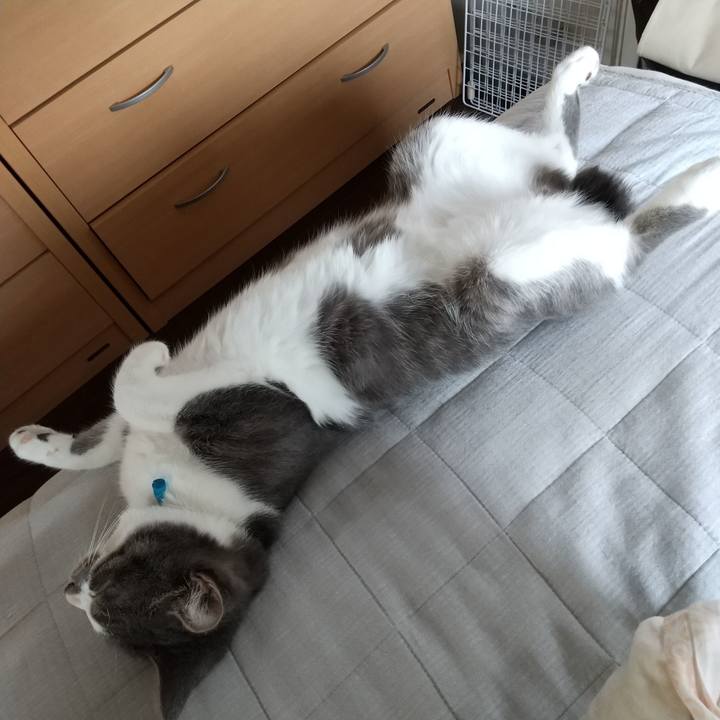 2a38fcd8 bf08 40ac 8272 4b89f20feb46 1601939021978