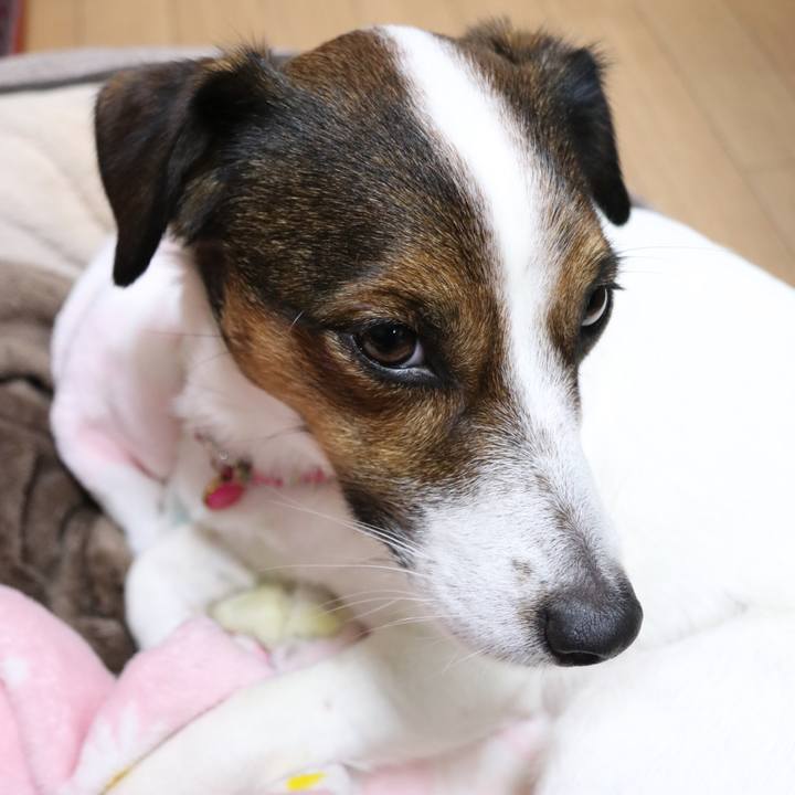 2a39307d 1160 43b3 968a 50c3f63e4158 1515837837601