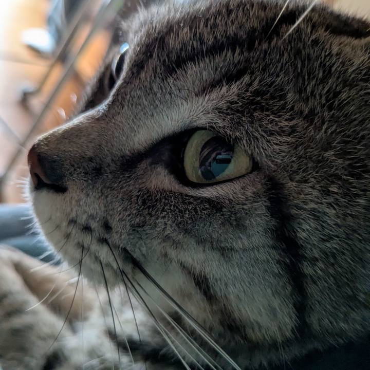 2a393e40 fc11 4070 9990 ce1a4ab29195 1737948078085