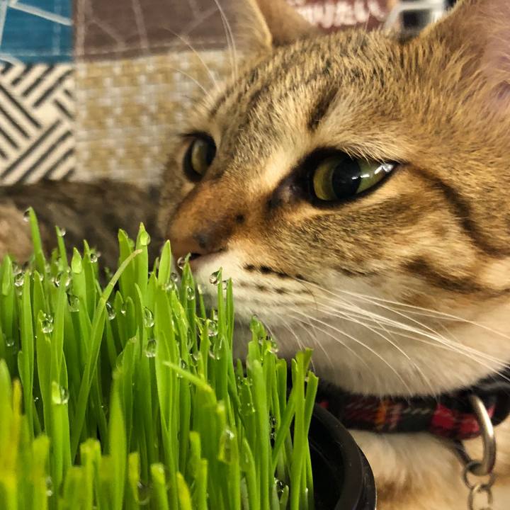 2a394641 455c 46a7 965d f01fed32f3b3 1594766645846