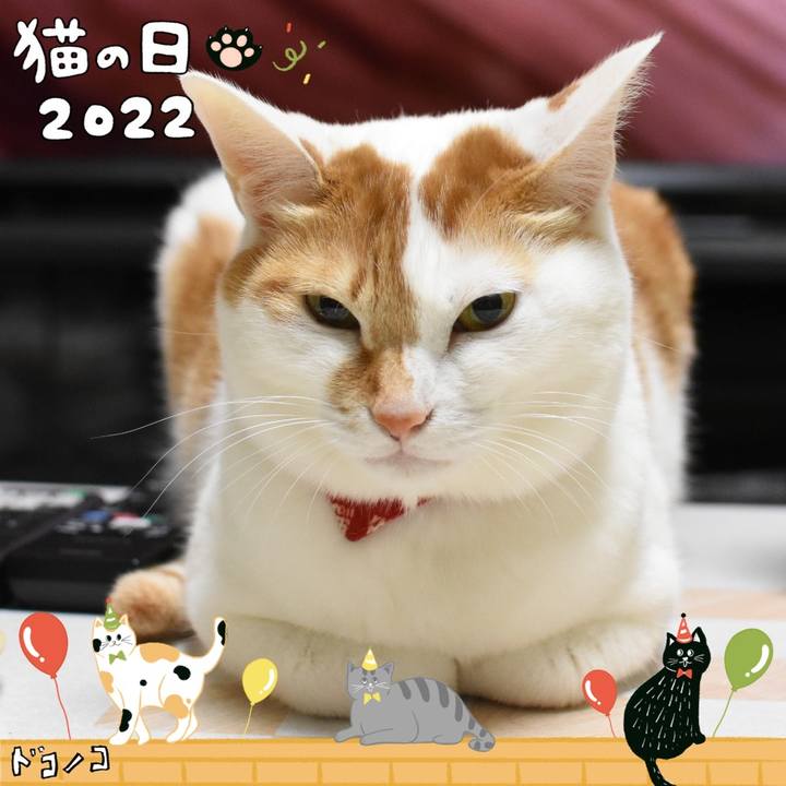2a3994cc da69 4317 a102 923dad0ab1b7 1645527091164