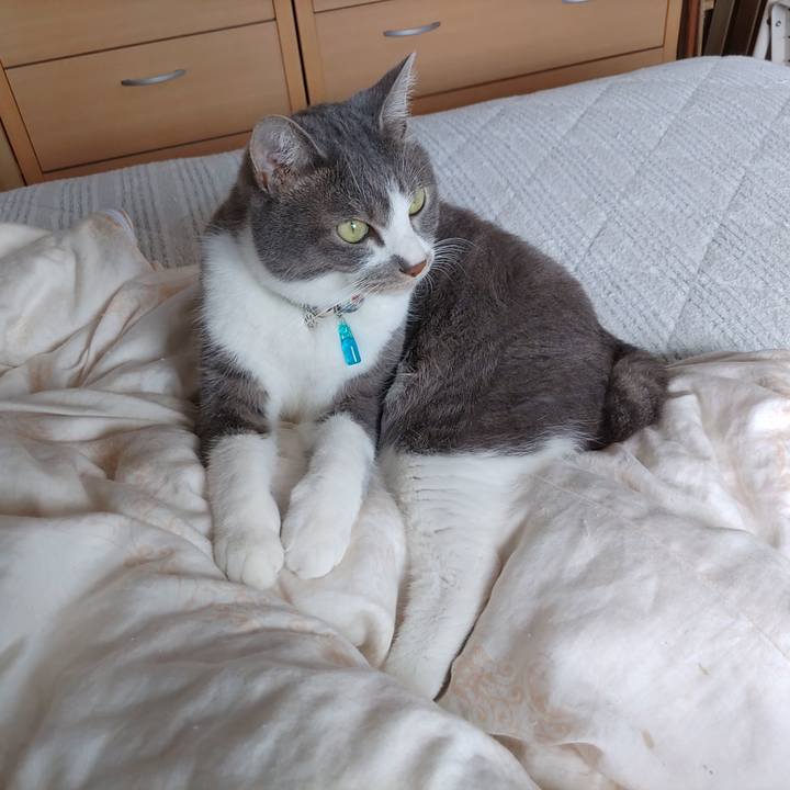 2a39afd2 73cb 472f bb65 c6fa00d933ff 1717479809183