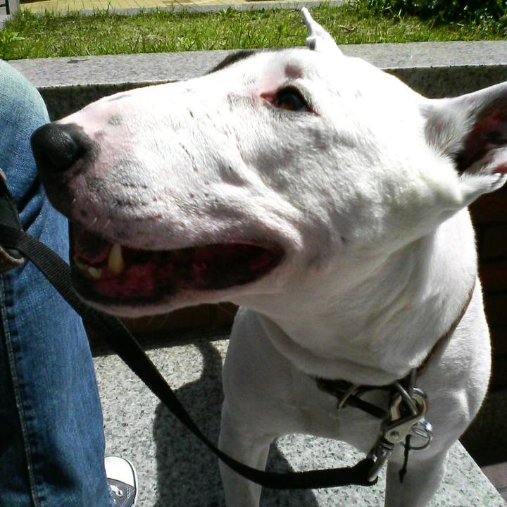 2a39b3c9 78ba 48a9 b5aa 5d0f2fde2d2c 1527775724844